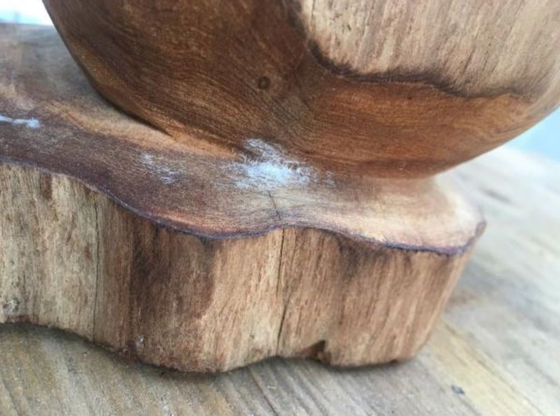 Đặc điểm của gỗ ngọc am