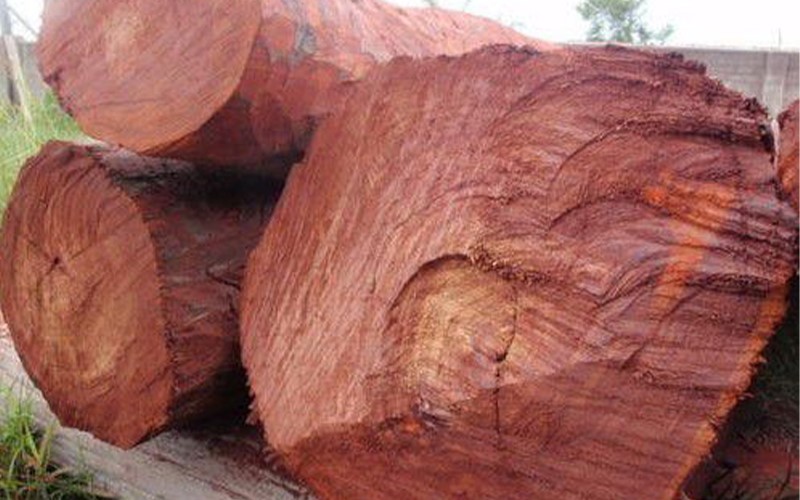 Đặc điểm cấu tạo của gỗ tử đàn