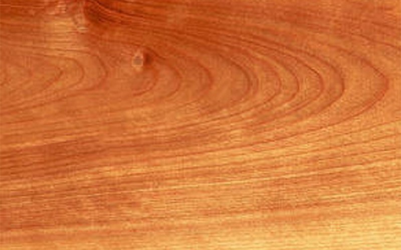 Bảng giá gỗ birch