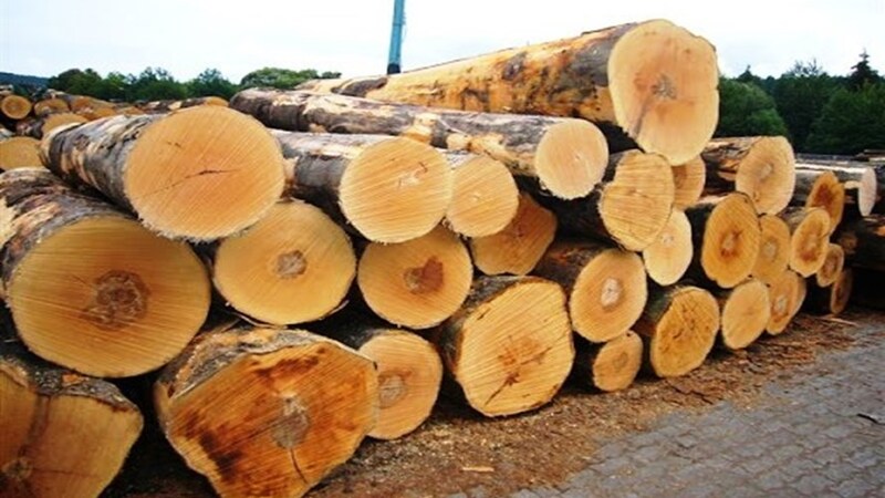 Các loại gỗ tự nhiên nên chọn trong nội thất phòng ngủ