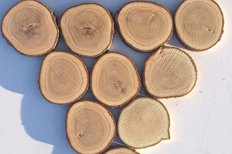 Giá gỗ sồi mỹ bao nhiêu
