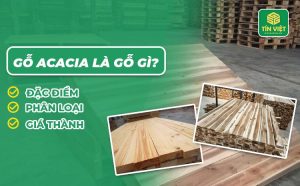 gỗ acacia và ứng dụng