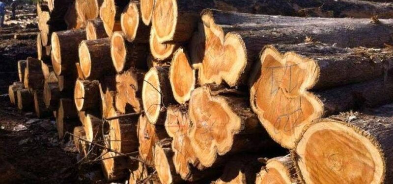 Thớt gỗ teak giá bao nhiêu?