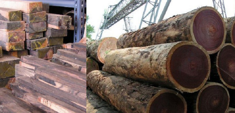 Đơn vị cung cấp các loại gỗ làm phản gỗ giá tốt chất lượng tại HCM