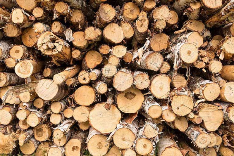 Đơn vị cung cấp gỗ rẻ nhất, chất lượng nhất