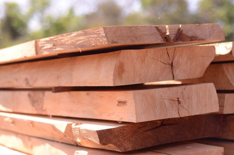  Đặc điểm của gỗ tạp