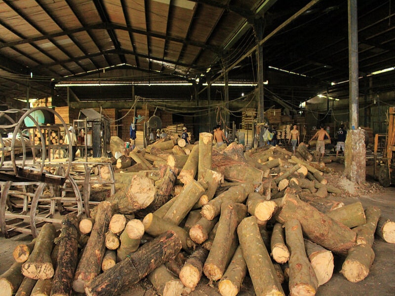 Những ưu và nhược điểm của loại gỗ lấy từ cây cao su