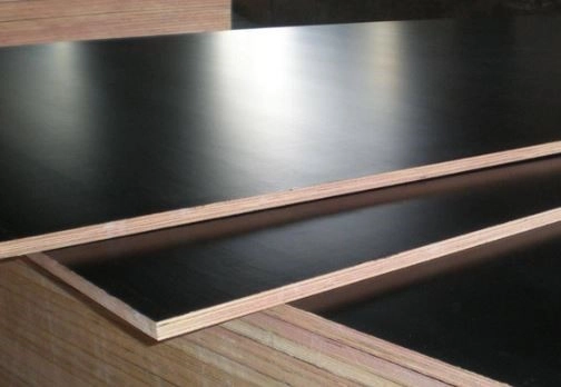 Ứng Dụng Thực Tế Của Ván Ép Phủ Phim