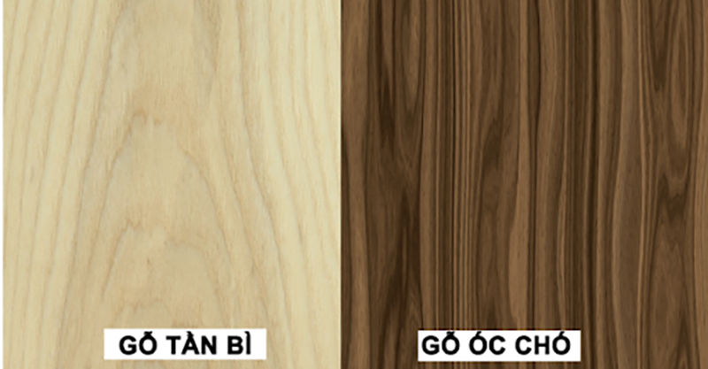 So sánh gỗ tần bì - Gỗ ash với các loại gỗ khác