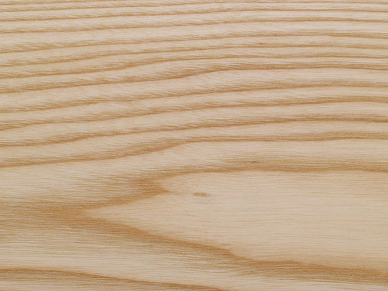 Ưu nhược điểm của gỗ tần bì - ash