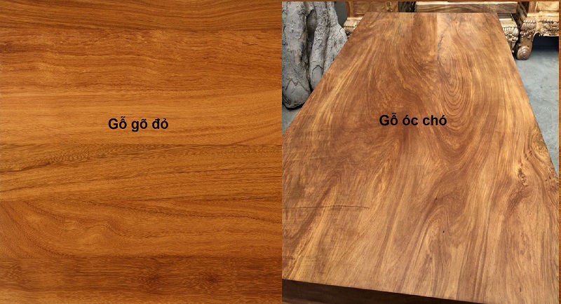 So sánh gỗ gõ đỏ với các loại gỗ khác