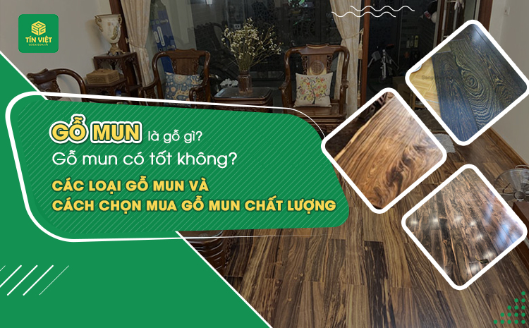 Gỗ mun là gỗ gì? Gỗ mun có tốt không? Các loại gỗ mun