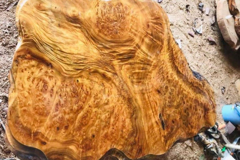 Cách bảo quản gỗ xá xị