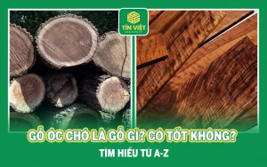 Gỗ óc chó là gỗ gì? Có tốt không? Tìm hiểu từ A-Z
