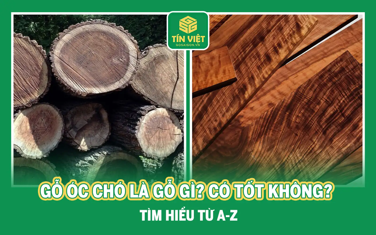 Gỗ óc chó là gỗ gì? Có tốt không? Tìm hiểu từ A-Z