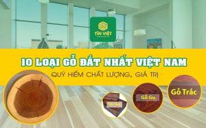 10 loại gỗ đắt nhất Việt Nam quý hiếm chất lượng, giá trị