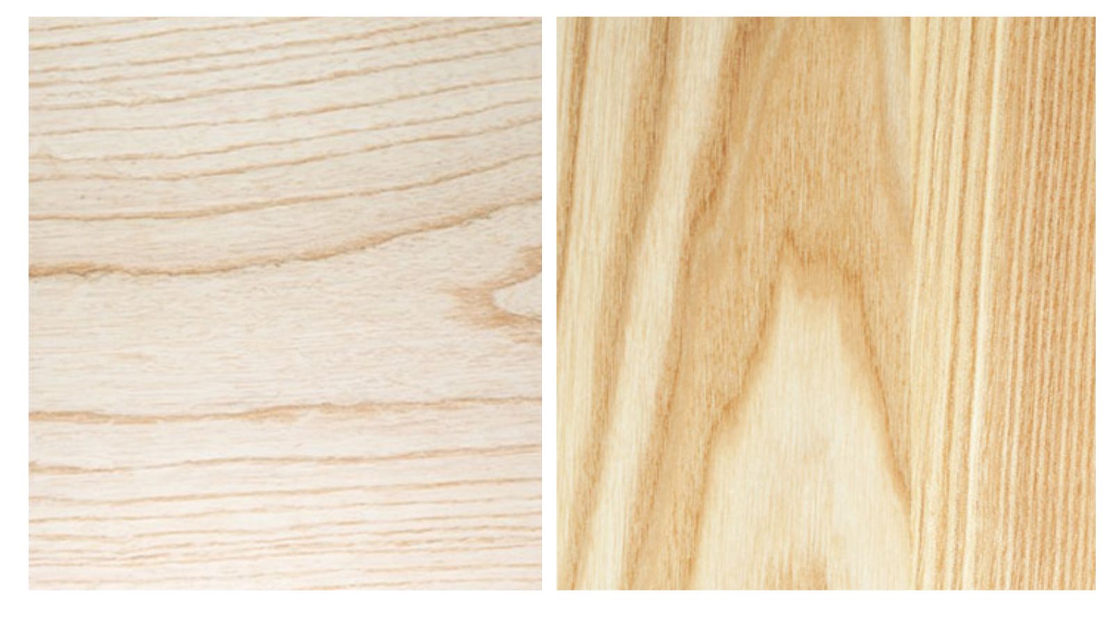 Cách nhận dạng phân biệt gỗ tần bì 