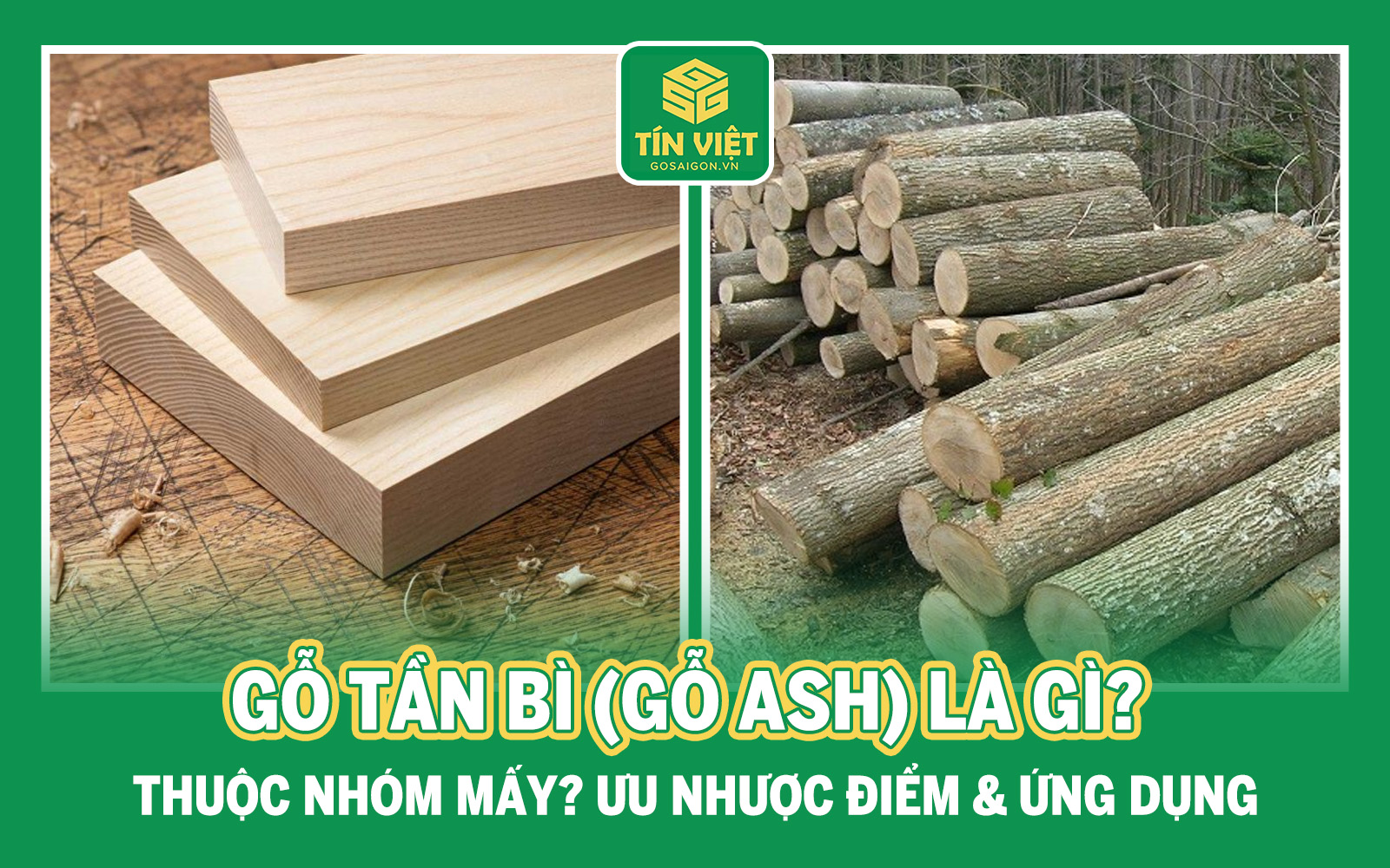 Gỗ Tần Bì (Gỗ Ash) Là Gì? Thuộc Nhóm Mấy? Ưu Nhược Điểm & Ứng Dụng