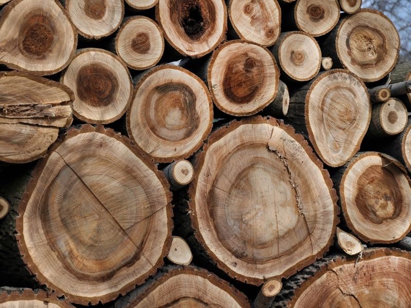 Tổng hợp các loại gỗ tự nhiên