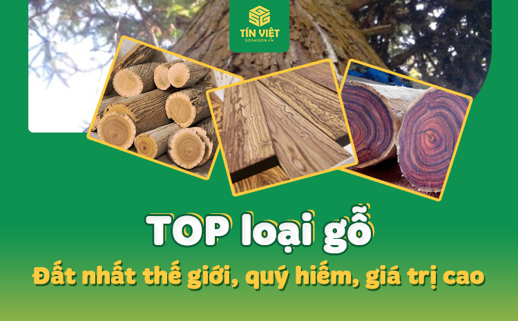 TOP 7 loại gỗ đắt nhất thế giới, quý hiếm, giá trị cao
