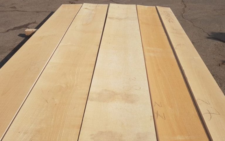 Gỗ maple là gì? Ưu nhược điểm và ứng dụng gỗ maple