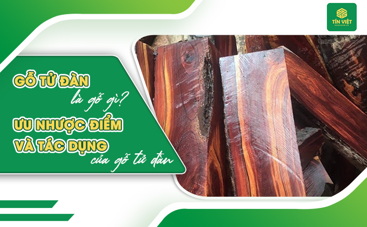 Gỗ tử đàn là gỗ gì? Ưu nhược điểm và tác dụng của gỗ tử đàn