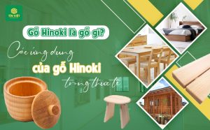 Gỗ Hinoki là gỗ gì? Các ứng dụng của gỗ hinoki trong thực tế