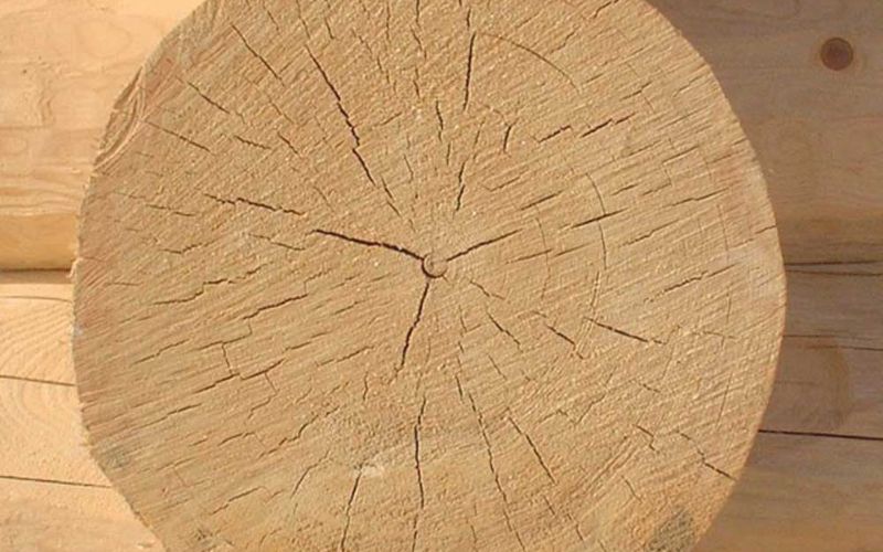 Đặc điểm của gỗ Vân Sam