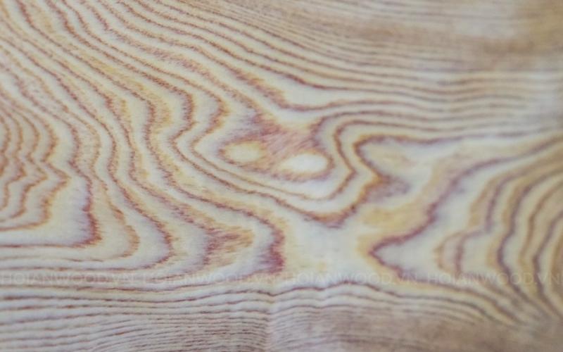 Gỗ Pơ Mu là gỗ gì? Đặc điểm, nhóm gỗ và cách nhận biết gỗ Pơ Mu