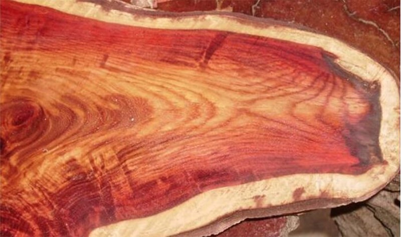 Ưu nhược điểm của gỗ thông đỏ