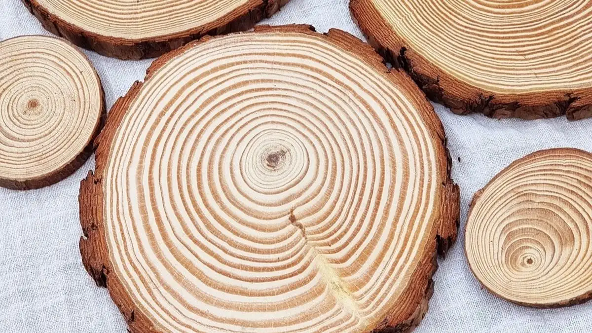 Đặc Điểm Nhận Biết Gỗ Lát Trong Thực Tế