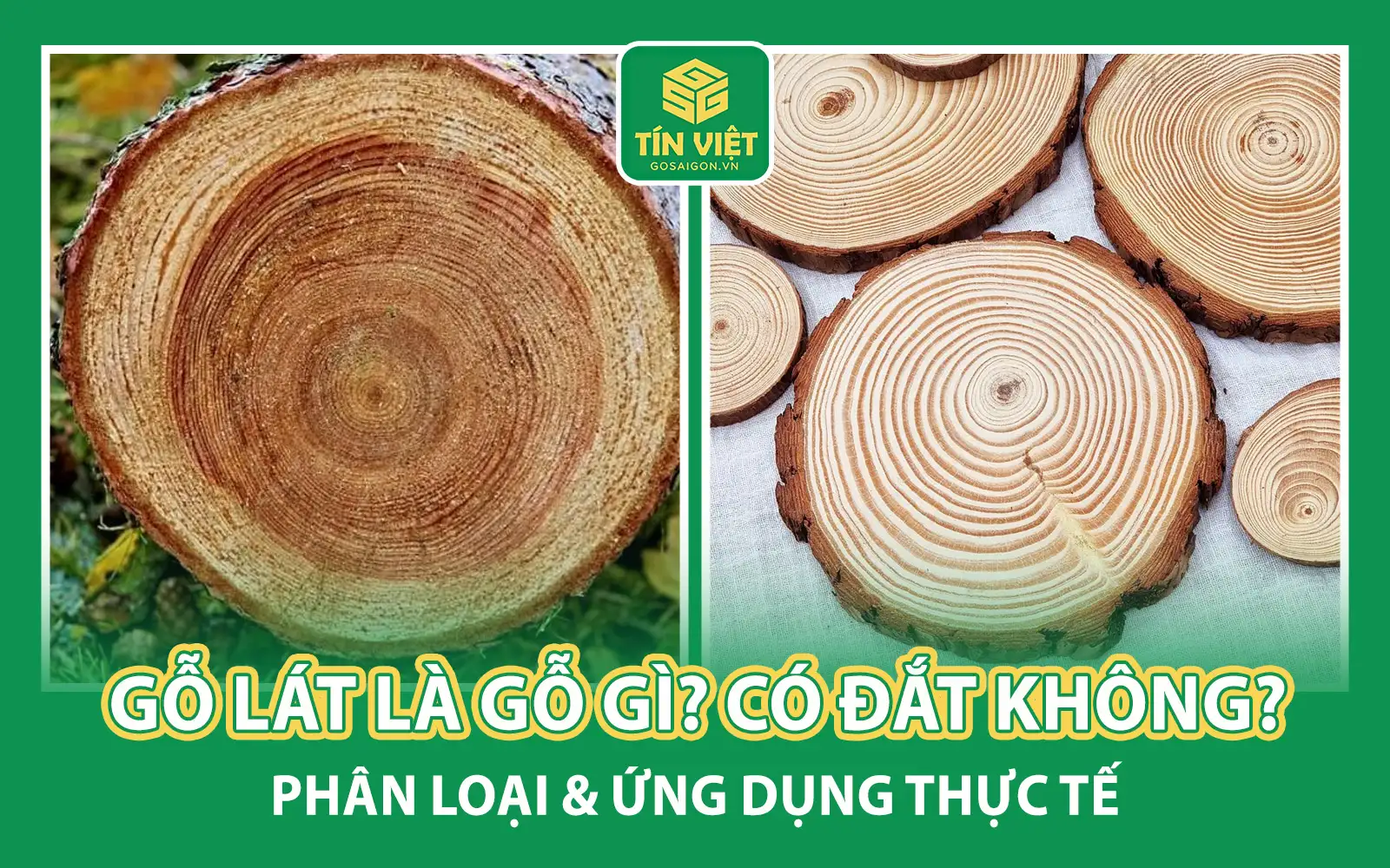 Gỗ Lát Là Gỗ Gì?