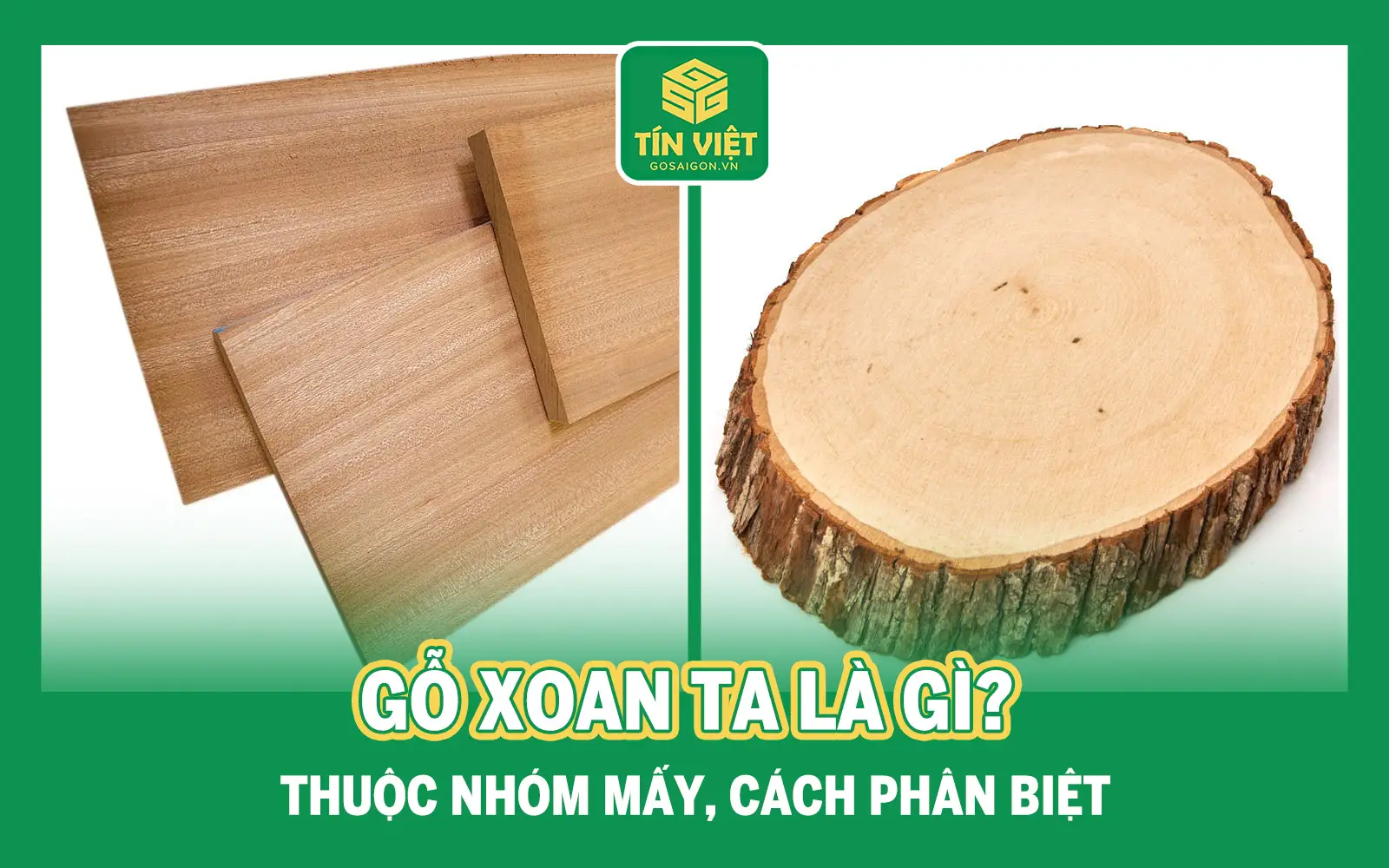 Gỗ Xoan Ta Là Gì? Thuộc Nhóm Mấy, Cách Phân Biệt