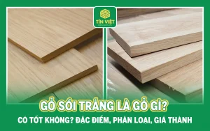 Gỗ sồi trắng là gỗ