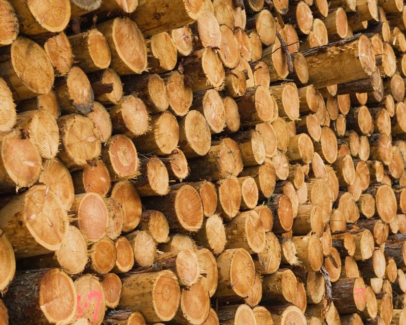 Người ta thu mua gỗ vụn để làm gì