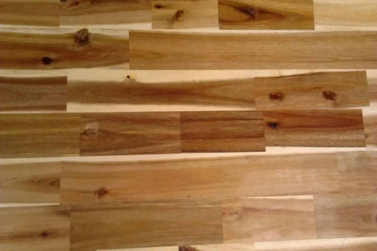 Gỗ tràm- Các loại gỗ tạp phổ biến