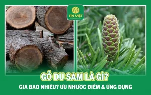 Gỗ Du Sam Là Gì? Giá Bao Nhiêu? Ưu Nhược Điểm & Ứng Dụng
