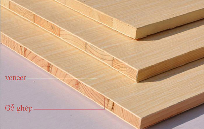 Xác định loại gỗ trước khi kiểm tra chất lượng gỗ