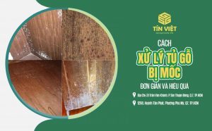 Cách xử lý tủ gỗ bị mốc đơn giản và hiệu quả