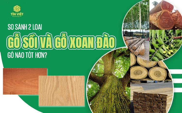 So sánh 2 loại gỗ sồi và gỗ xoan đào - Gỗ nào tốt hơn?