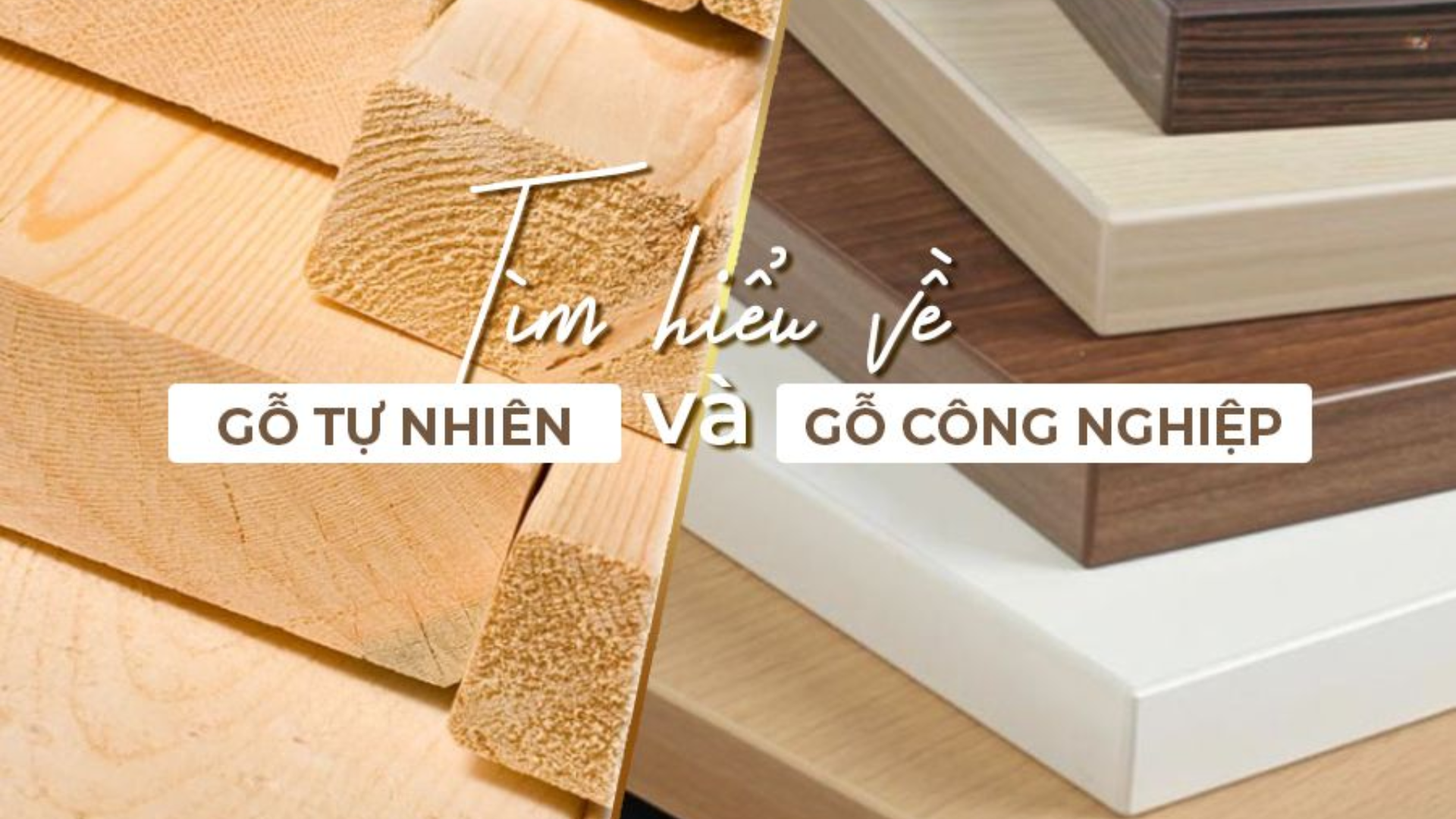 Vật liệu gỗ tự nhiên và gỗ công nghiệp