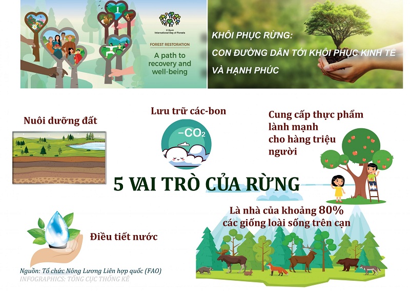 Rừng có vai trò gì đối với con người