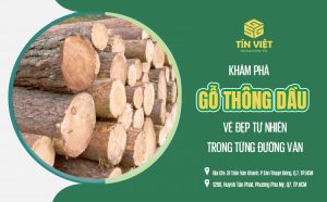 Khám phá gỗ thông dầu: Vẻ đẹp tự nhiên trong từng đường vân