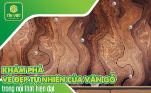 Vân gỗ và vẻ đẹp tự nhiên trong thiết kế nội thất hiện đại