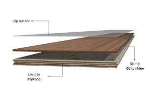 Cấu tạo của ván ép Plywood