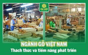 Ngành gỗ Việt Nam: Thách thức và tiềm năng phát triển