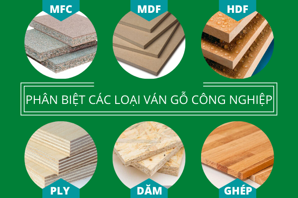 Phân loại gỗ công nghiệp - Tuổi thọ của gỗ như thế nào?