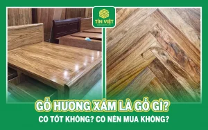 Gỗ Hương Xám Là Gỗ Gì? Có Tốt Không? Có Nên Mua Không?