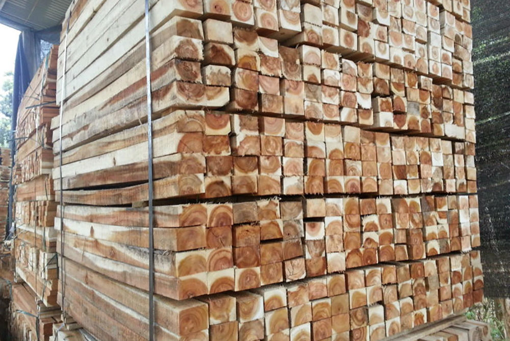 Gỗ Tràm Có Mấy Loại? Phân Loại Các Loại Gỗ Tràm Tại Việt Nam
