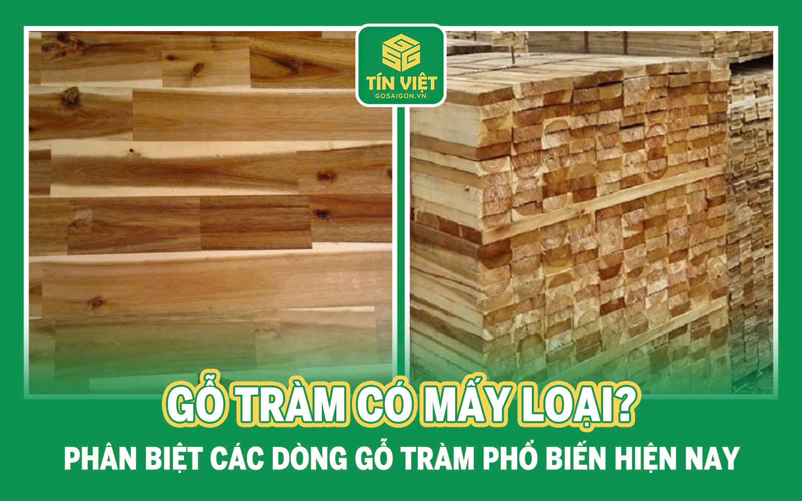 Gỗ Tràm Có Mấy Loại? Phân Biệt Các Dòng Gỗ Tràm Phổ Biến Hiện Nay